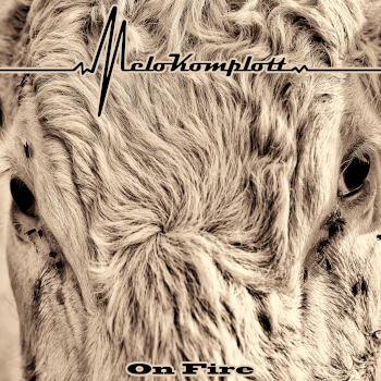 Album-Cover On Fire